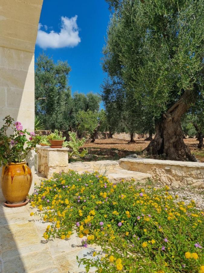 Bed and Breakfast Trulli Di Spinaruta Grottaglie Exteriér fotografie
