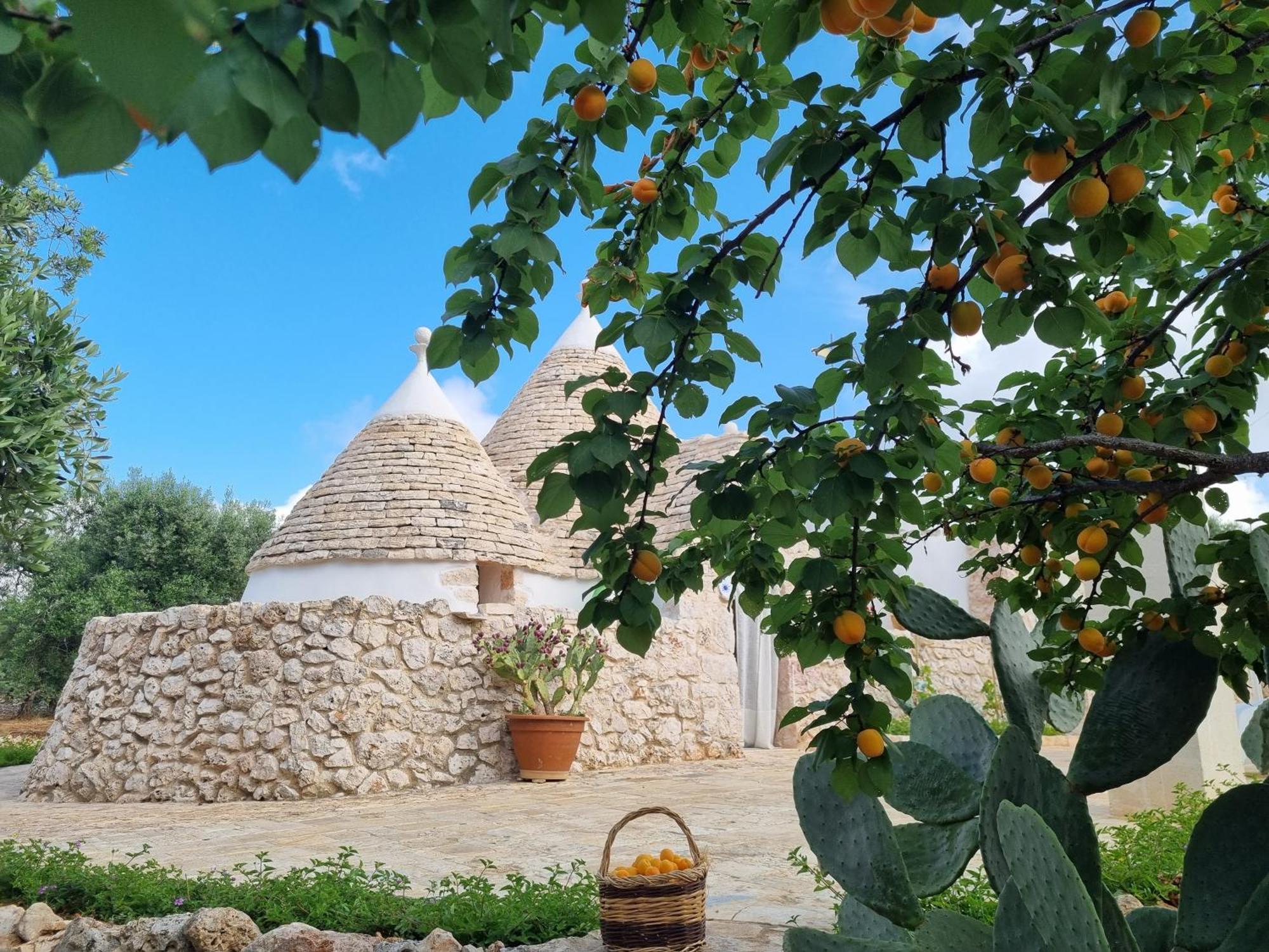 Bed and Breakfast Trulli Di Spinaruta Grottaglie Exteriér fotografie